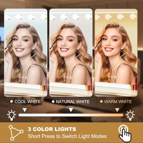 Vanity Mirror with Lights (White / 44"L x 30"W)