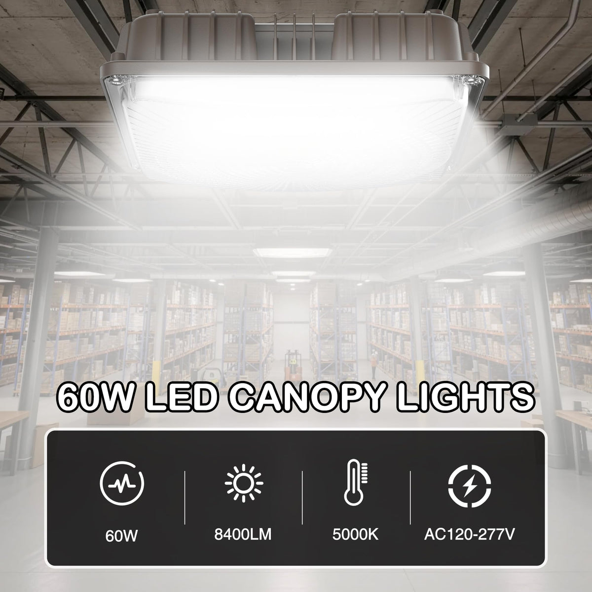 LED Canopy Lights (60W 4Pack)