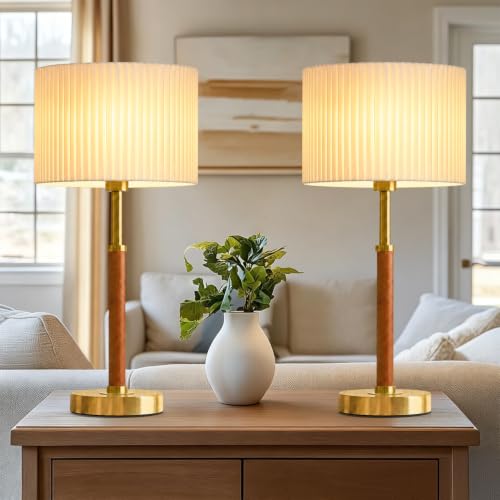 Modern Table Lamp Set of 2 for Living Room Bedroom (C)