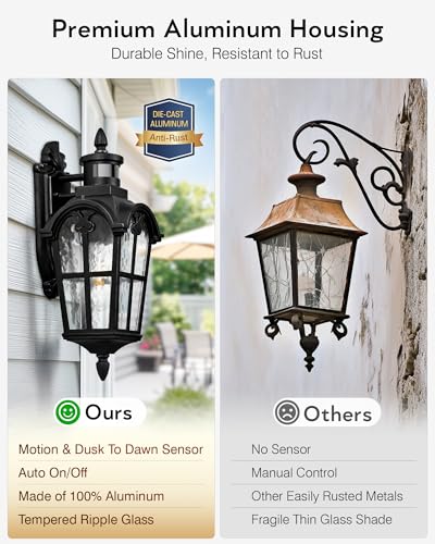 2 Pack Motion Sensor Outdoor Lights (Black / 2-pack)