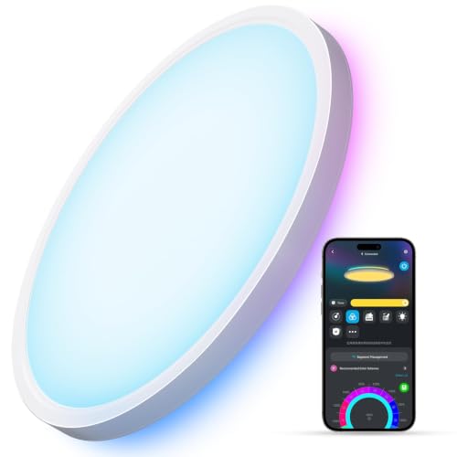 Smart Ceiling Light (White)
