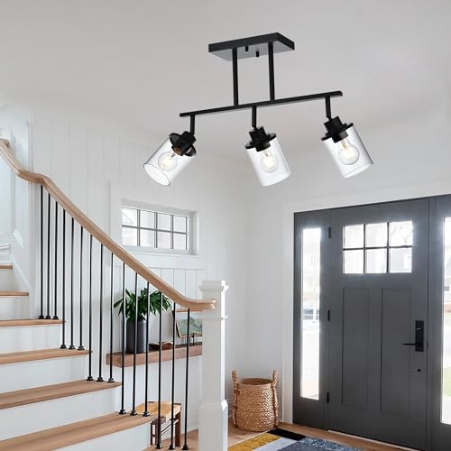 Track Lighting Fixtures 3 Light Ceiling Lights with Adjustable Track Heads (Black / 3-Light)