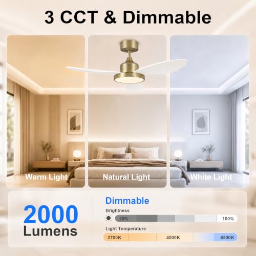 42" Ceiling Fan with Lights (White & Gold / 42 Inch)
