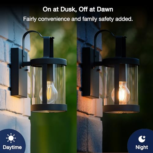 Dusk to Dawn Outdoor Sensor A19 LED Edison Bulbs (60w Soft White / 4 Count (Pack of 1))
