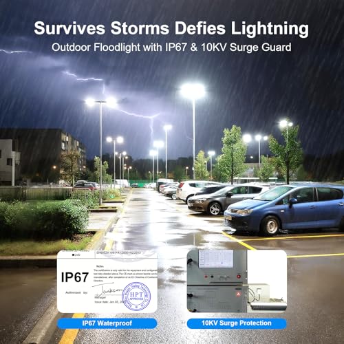 100W LED Parking Lot Light (100W-STL)