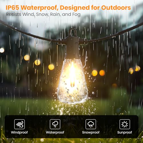 Outdoor String Lights for Patio (50FT Discolor)