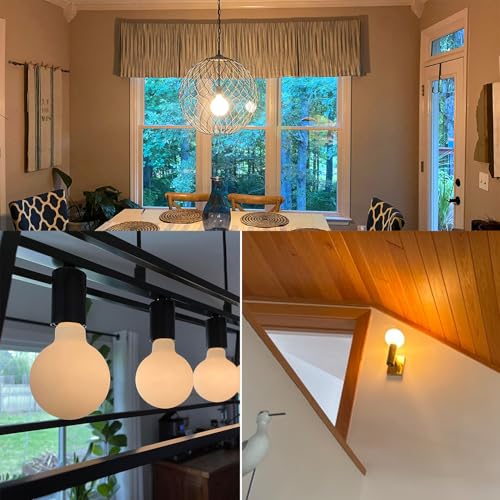 Globe Light Bulbs 60 Watt Replacement for Decorative (Warm White)