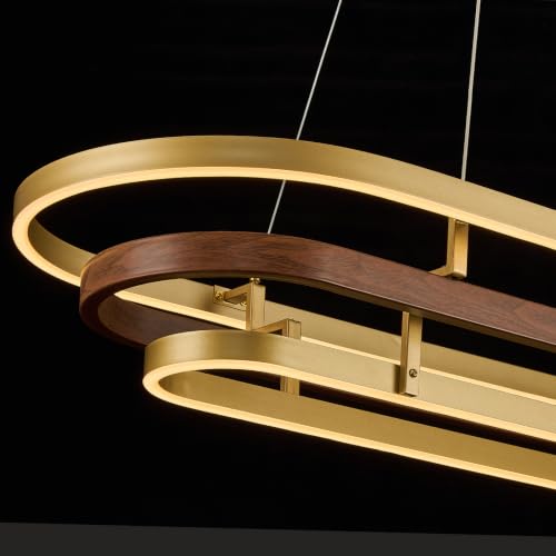 Ring LED Chandelier Modern Chandeliers Dimmable
