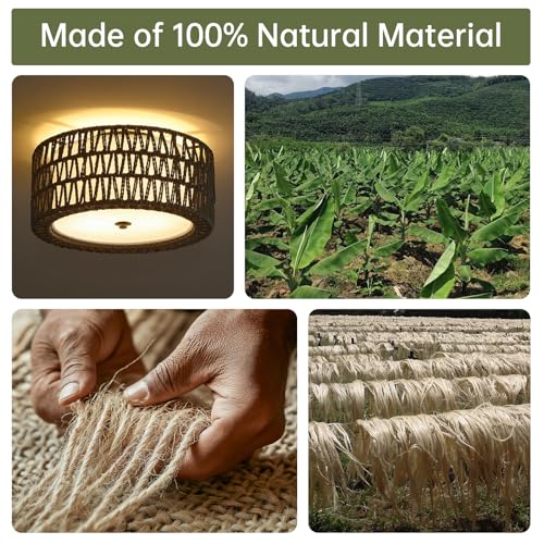 12.6" Black Rattan Ceiling Light (Black / 12.6")