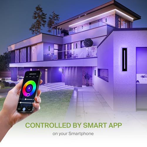 LED 18" Long Wall Mount Light Fixture (Black)