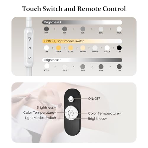 Lash Light with Tool Tray