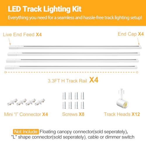 5-Color 12-Light LED Track Lighting Kit with 13FT Rails, 10W White (White / 12 Lights)