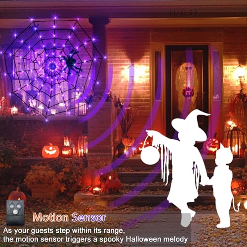 Halloween Decorations (purple/orange lights with music)