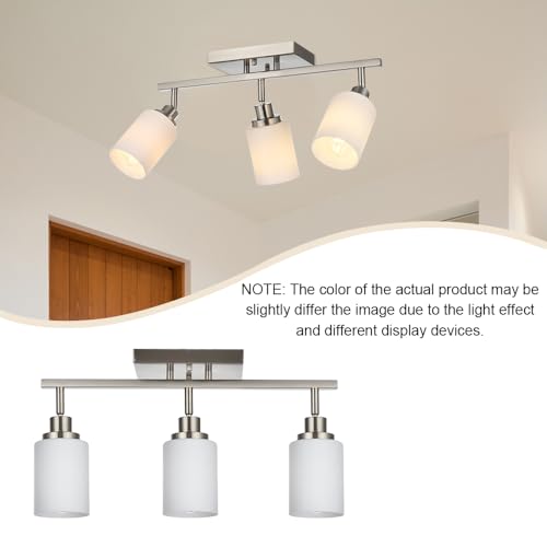 Track Lighting Fixtures Ceiling (Brushed Nickel / 3-Lights)