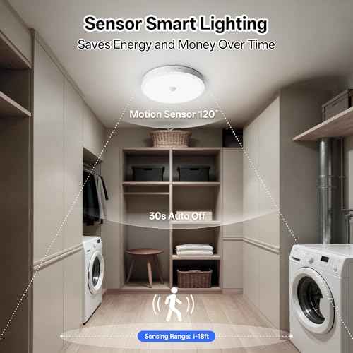 12000mAh Rechargeable Ceiling Light (White-6500K / 12000mAh)