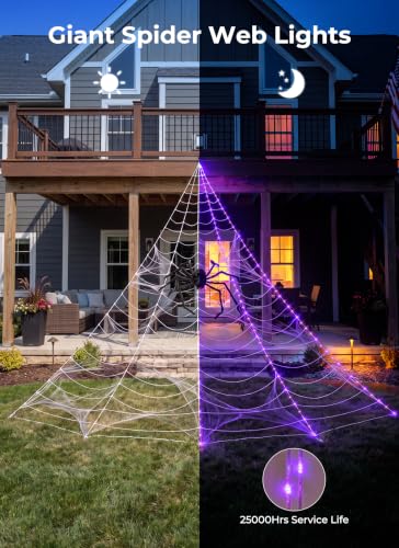 Halloween Decorations Outdoor (Purple)