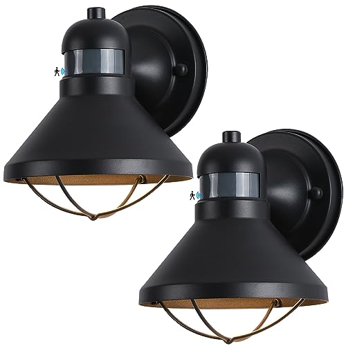 2 Pack Dusk to Dawn Motion Sensor Outdoor LED Wall Light Fixture (Black / 2 Pack)