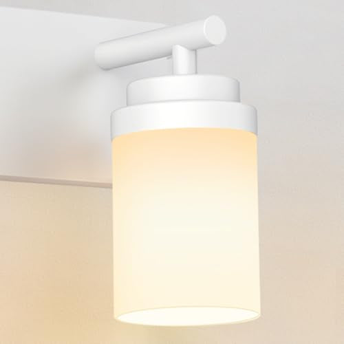 Bathroom Vanity Light Fixture