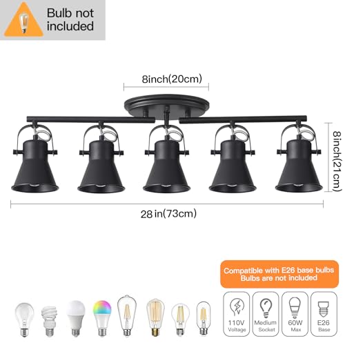 5 Light Track Lighting Kit (5-Light / Black)