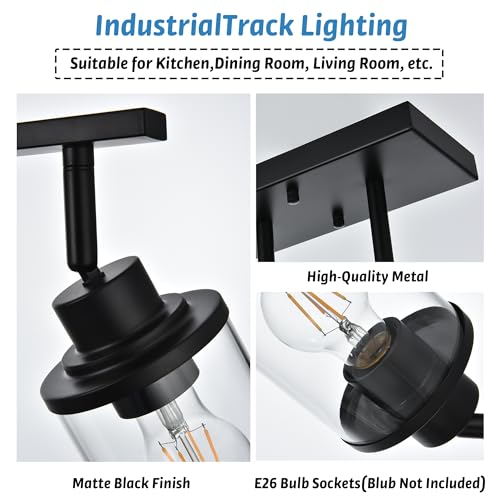 Track Lighting Fixtures 3 Light Ceiling Lights with Adjustable Track Heads (Black / 3-Light)