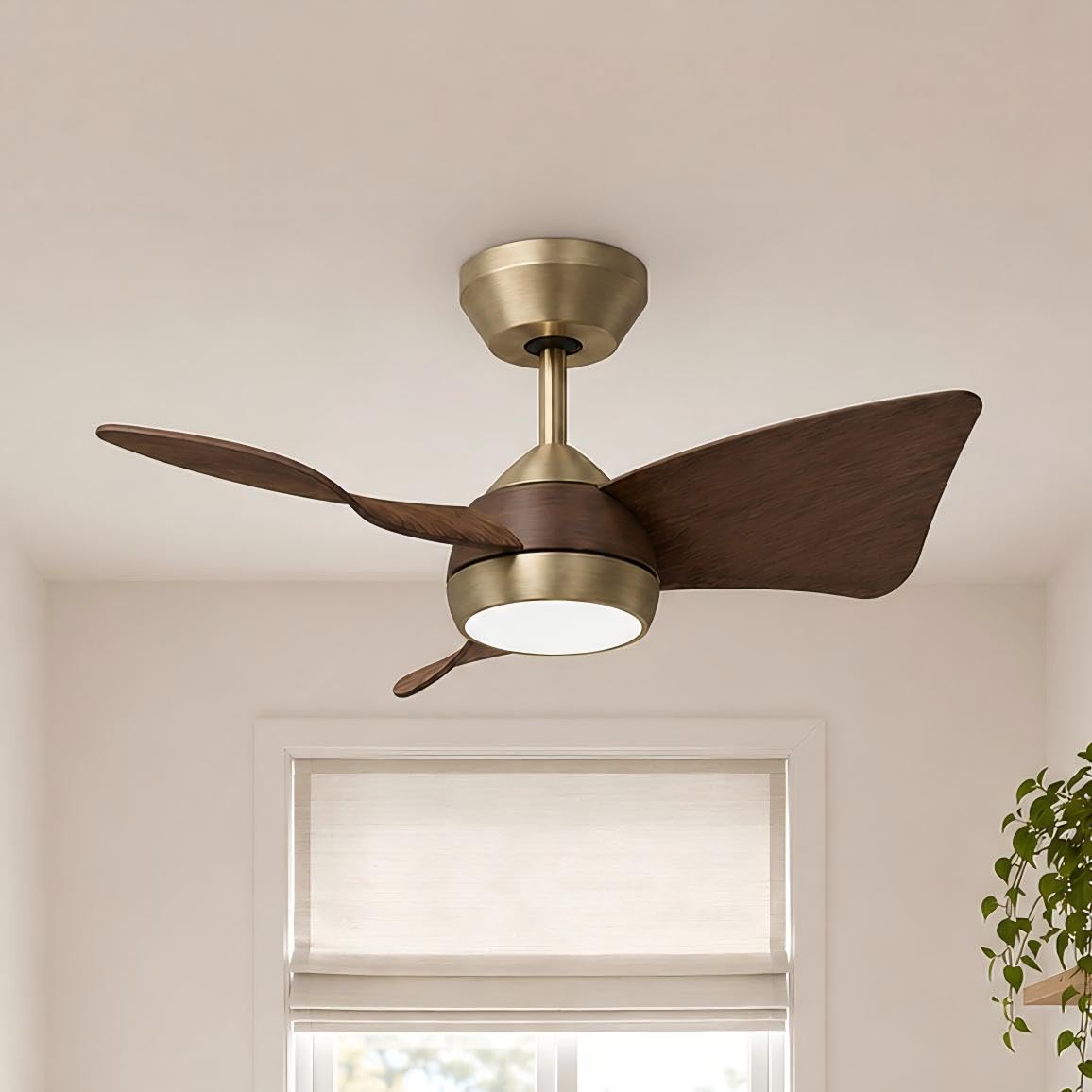30 Inch Small Ceiling Fan with Lights (Brushed Brass & Walnut / 30 Inch)