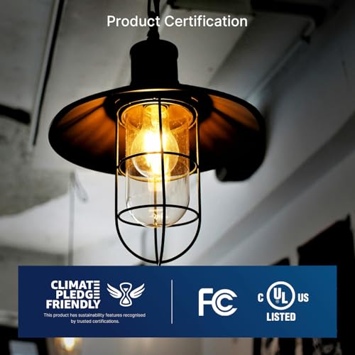 100W Equivalent Dimmable A21 LED Light Bulbs (100w 2700k Soft White / 4 Count (Pack of 1))