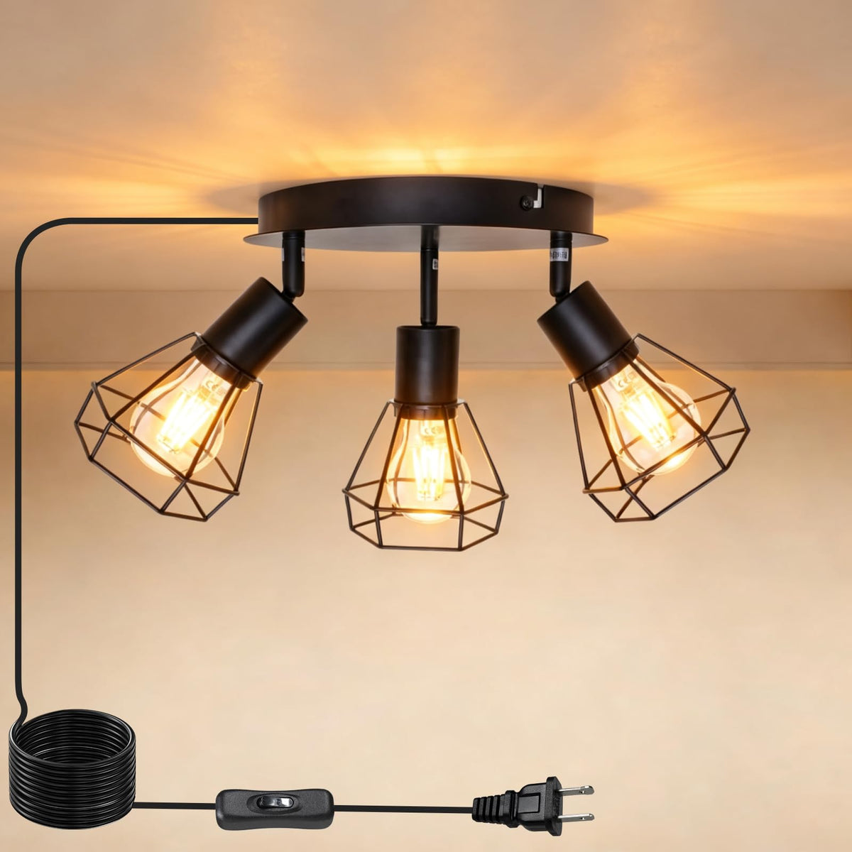 Plug in Track Lighting (3-Light Round)