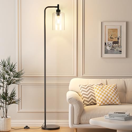 Industrial Floor Lamp with Glass Shade (Clear-Black)