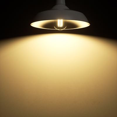 A19 LED Edison Bulbs Dimmable Vintage