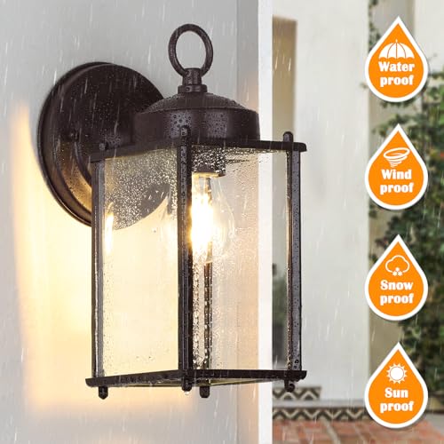Outdoor Wall Lantern (Dark Chocolate / 10.24 inch)