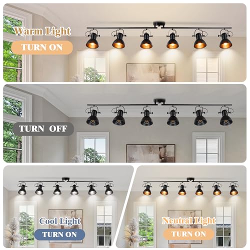 6 Light Kitchen Track Lighting Rotatable Heads for Farmhouse Island (6 Light)