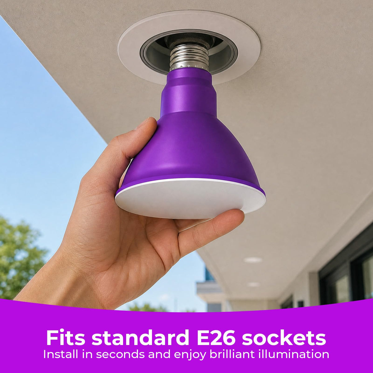 PAR38 Dimmable Purple Light Bulb (Purple / 2 Pack)