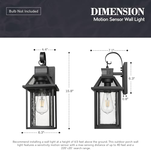 15.8'' Motion Sensor Wall Light (Black - Seeded Glass / 15.8 Inch - Motion Sensor)