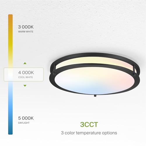 LED 18" Round Flush Mount Lighting (Oil-Rubbed Bronze)