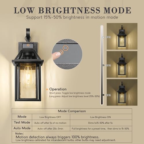 15.8'' Motion Sensor Wall Light (Black - Seeded Glass / 15.8 Inch - Motion Sensor)