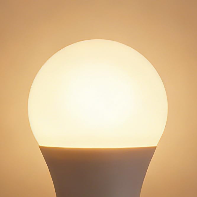 100W A19 LED Light Bulb