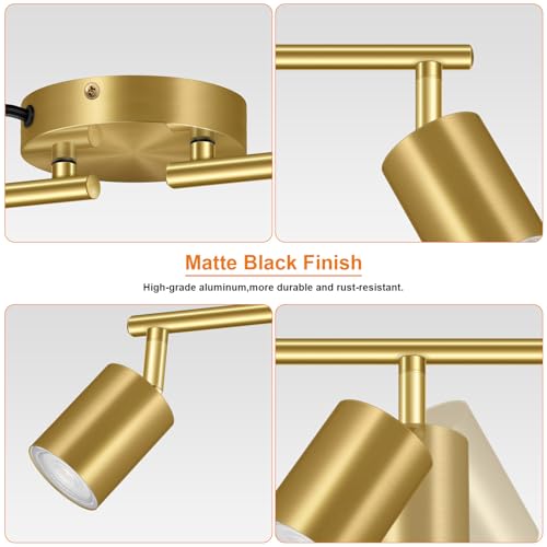 Plug in Track Lighting LED (4-Light Track Light(Gold))