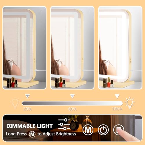 Gold 28" x 20" Vanity Mirror with Lights (Gold / 28"L x 20"W)