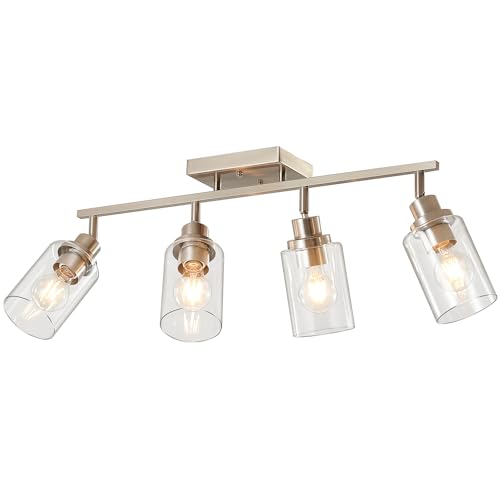 4 Light Brushed Nickel Track Lighting Kit with Clear Glass (Brushed Nickel / 4-Light)