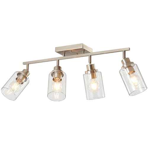 4 Light Brushed Nickel Track Lighting Kit with Clear Glass (Brushed Nickel / 4-Light)