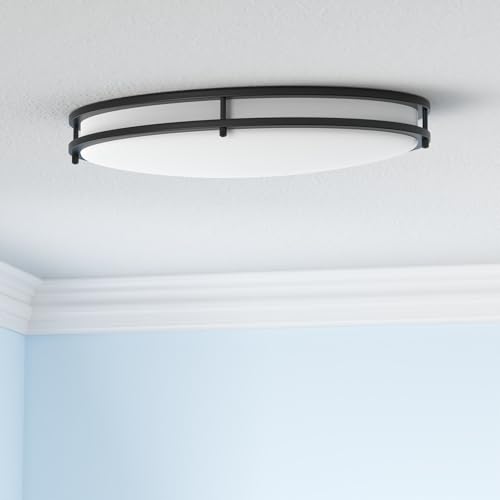 LED 24" Oval Flush Mount Lighting (Black)