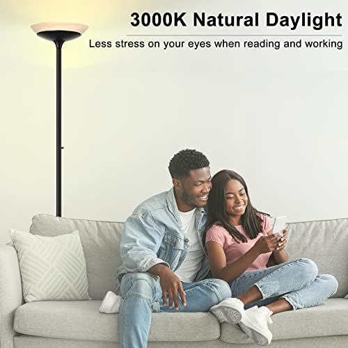 Torchiere Floor Lamp (Black Floor Lamp)