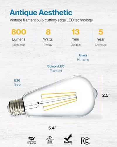 Sunco 100 Pack Edison Bulbs LED ST64 (100 Pack)