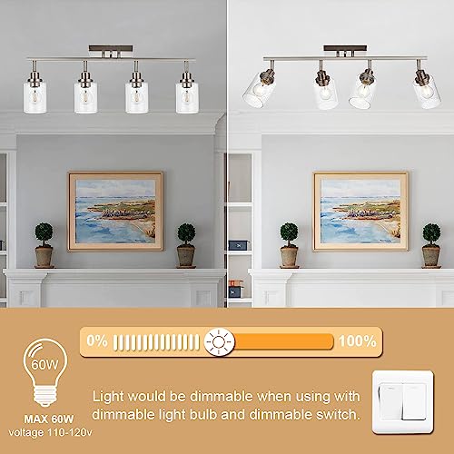 4 Light Track Lighting Fixtures (Brushed Nickel / 4-Light)