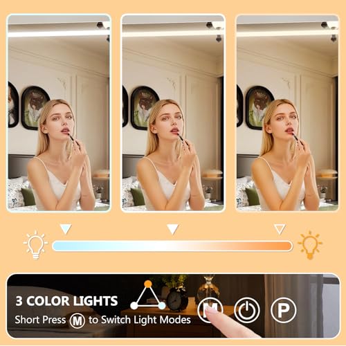 40" x 30" Vanity Mirror with Lights (White / 40"L x 30"W)