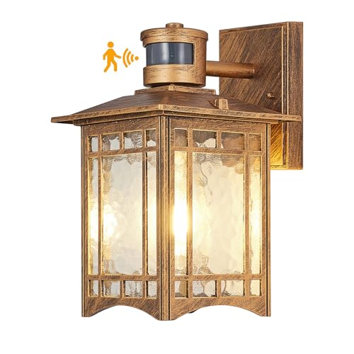 Motion Sensor Outdoor Lights Dusk to Dawn Lighting Waterproof Exterior Light Fixture 100% Anti
