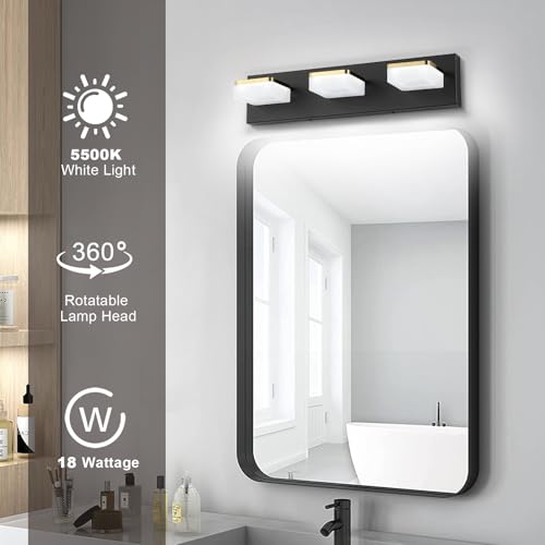3 Light Bathroom Vanity Light (3-Light,20Inch / Black)