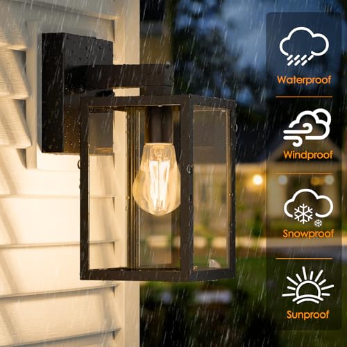 Outdoor Wall Light Fixture (Black)