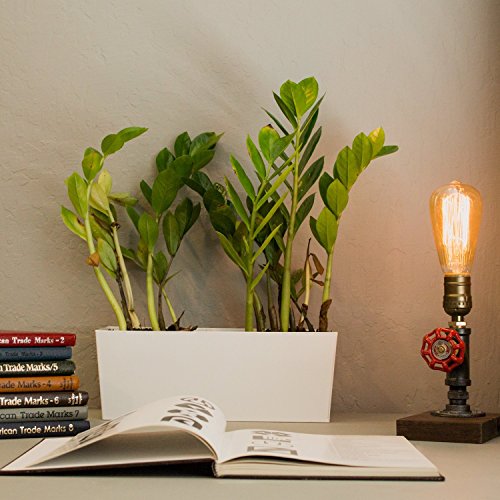 LED Edison Bulb 4W (Warm White / Pack of 3)