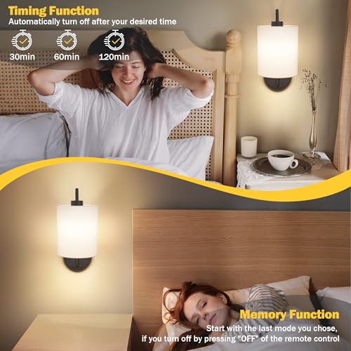 Battery Operated Wall Sconce Set of 2 (Black / White / Large)